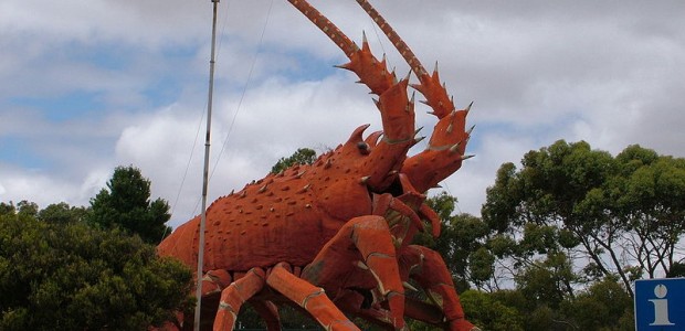 We are all going to die! If you drop a lobster into a pot of boiling water, it’s going to freak out, because that water is hot. And, it’s going...