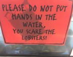 Hey Architects, we are all going to die! . We are all going to die! If you drop a lobster into a pot of boiling water, it’s going to freak out, because that water is hot. And, it’s...