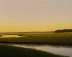 Architecture filters the environment, you know, like a clam I spent the weekend in Beaufort, NC. I looked over the water, and the marshes, and watched the sun go down over the sound. I watched the fishing boats come...