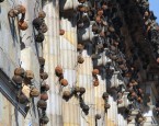 Architects follow like ants, Giant freakin’ ANTS! Buildings are very complex and it takes a team to get them built. There’s property owners, investors, Financial institutions, City officials, Architects, Engineers, Consultants, Contractors, Building Inspectors, Insurance agents, Osha...