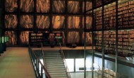 beinecke-som-8