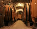 Serve no Architecture before its time It’s finally time for that dream house & an Architect can help. You’ve worked hard, climbing that ladder to financial success and you’ve finally arrived. You’re standing at the apex...