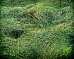 Important Places . Important places In 1969, when my father was at war overseas, my mother and I were on the front porch of our 1910 Bungalow in Kansas. The wind pushed...